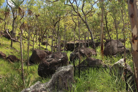Emerald Creek, Dinden West Forest Reserve - Tourism Guide 2