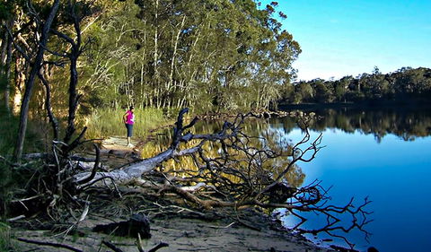 Five Islands Walking Track - Tourism Guide 0