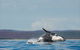 Fraser Coast Region - thumb 1