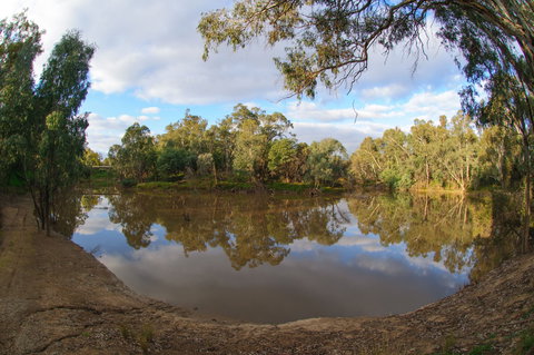 Gemmill Swamp Wildlife Reserve - Tourism Guide 1