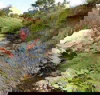 Gold Panning Deep Creek - Tourism Guide