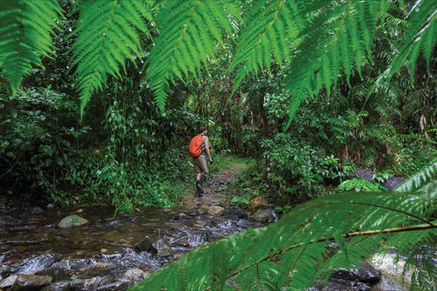 Goldsborough Valley, Wooroonooran National Park - Tourism Guide 0