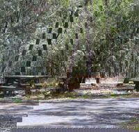 Goonoowigall State Conservation Area - Tourism Guide