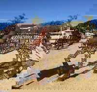 Gundersen Reserve - Tourism Guide