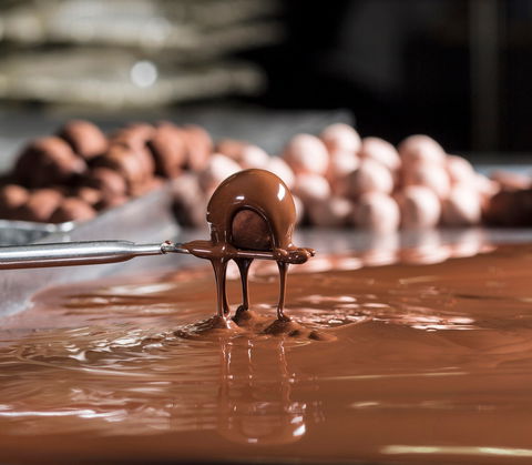 Haigh's Chocolates Visitor Centre - Tourism Guide 0