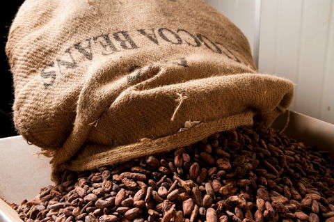 Haigh's Chocolates Visitor Centre - Tourism Guide 2