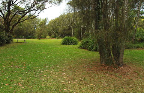 Hammerhead Point Picnic Area - Tourism Guide 0