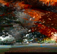 Jubilee Park Mackay - Cruises Travel