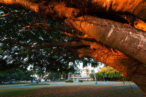 Jubilee Park, Mackay - Tourism Guide 0