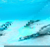 Jurien Bay - Tourism Guide