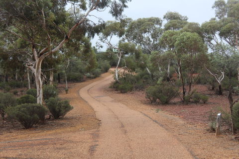Karlkurla Bushland Park - Tourism Guide 0