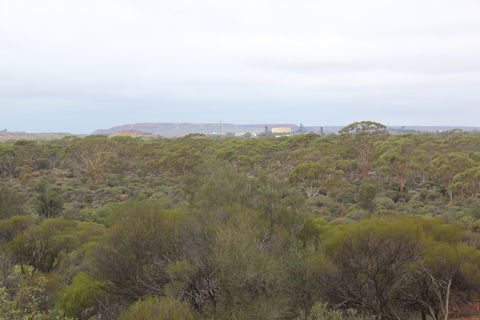 Karlkurla Bushland Park - Tourism Guide 1