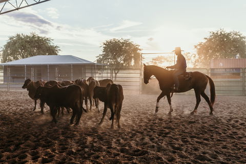 Katherine Outback Experience - Horse Riding Experience - Cruises Travel 2