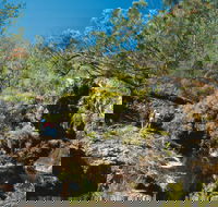 Kroombit Tops National Park - Tourism Guide