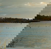 Lake Inverell Reserve - Tourism Guide