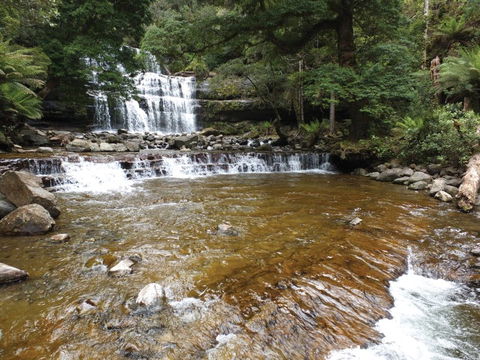 Liffey Falls Reserve - Tourism Guide 1