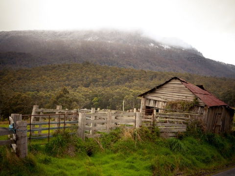 Liffey Falls Reserve - Tourism Guide 2