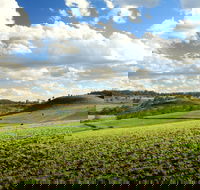 Lions Park Hodgson Vale - Tourism Guide