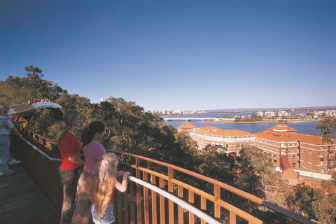 Lotterywest Federation Walkway - Kings Park - Tourism Guide 0