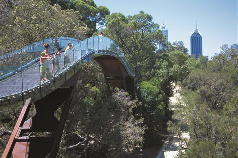 Lotterywest Federation Walkway - Kings Park - Tourism Guide 1