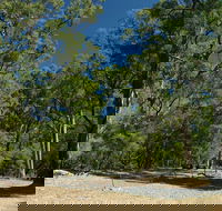 Maidens Tuart Forest - Tourism Guide