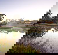 McClelland Sculpture Park  Gallery - Cruises Travel