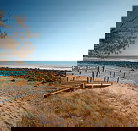 Mon Repos Beach - Tourism Guide