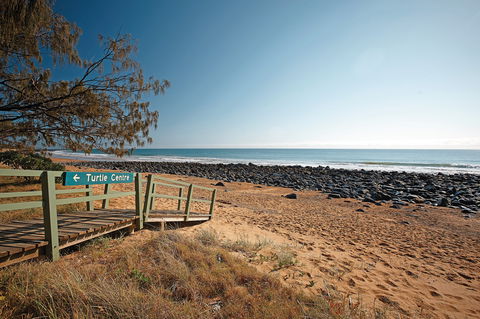 Mon Repos Beach - Tourism Guide 0