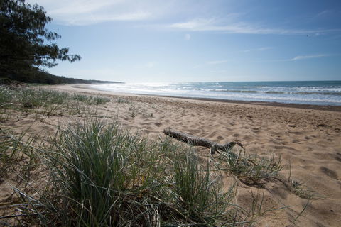 Mon Repos Beach - Tourism Guide 1