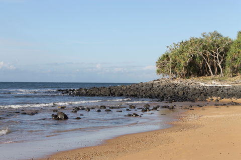 Mon Repos Beach - Tourism Guide 2