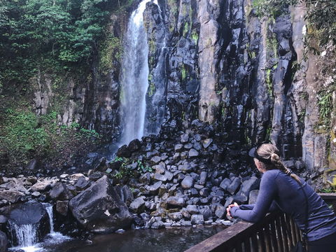 Mungalli Falls - Tourism Guide 0