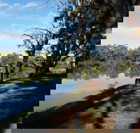Murray River National Park - Katarapko - Travel Agents