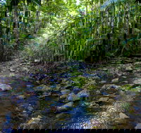 Nambucca Valley - Tourism Guide