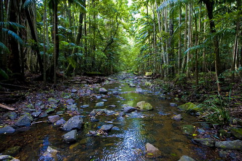 Nambucca Valley - Tourism Guide 0