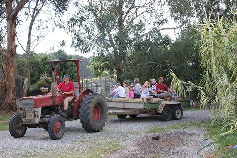 Rain Hayne And Shine Farmyard - Tourism Guide 1