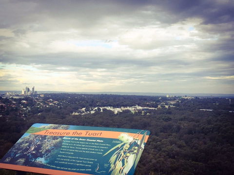 Reabold Hill Summit Boardwalk, Bold Park - Tourism Guide 0