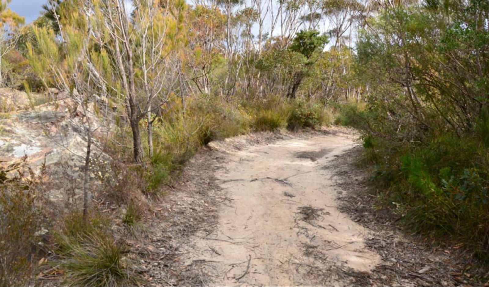 Browns Mountain NSW Tourism Guide