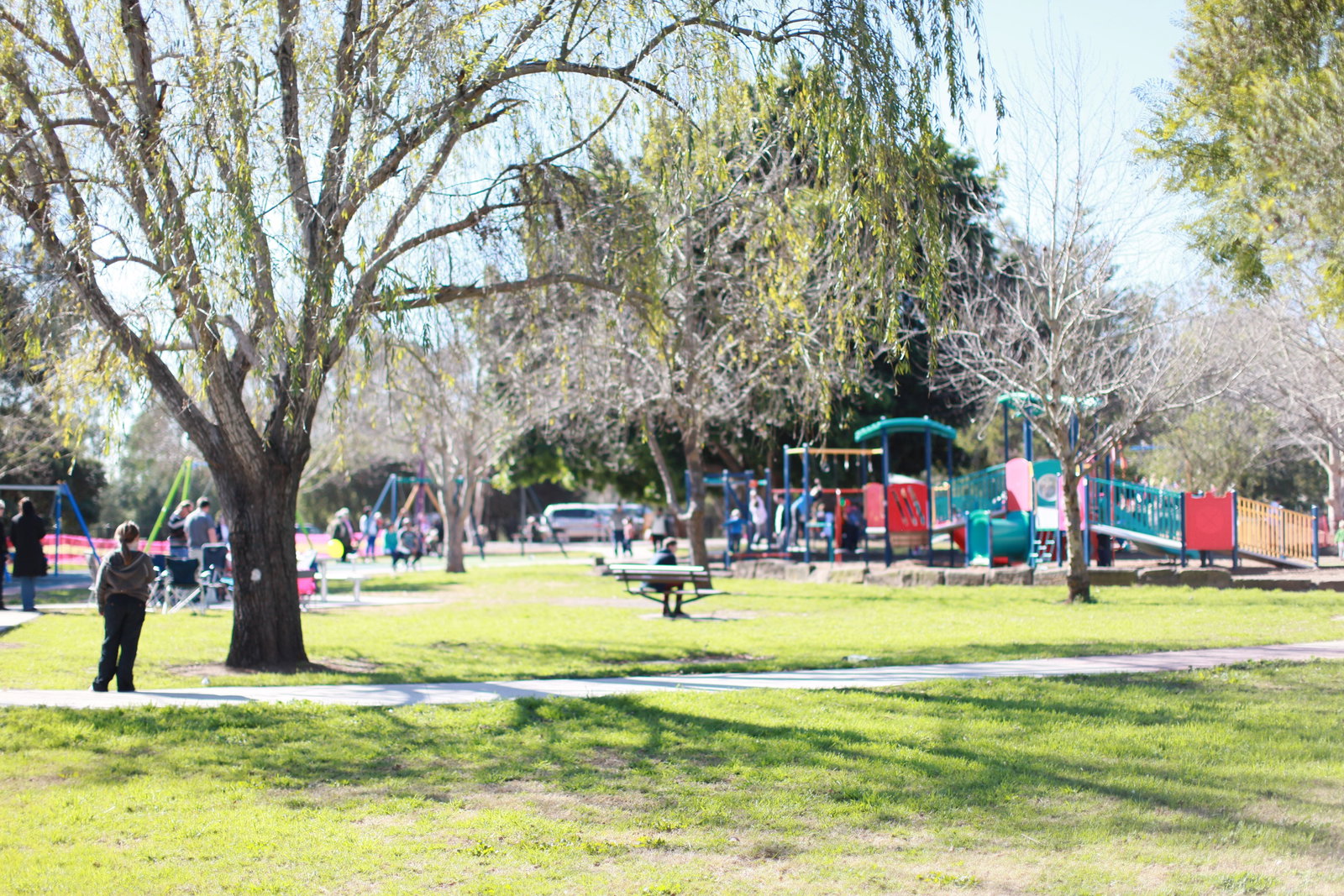 Mcdougalls Hill NSW Tourism Guide