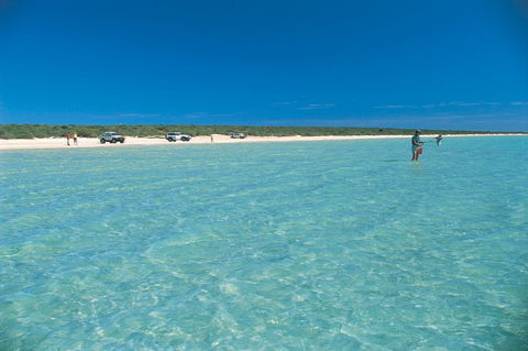 Shark Bay World Heritage Drive - Tourism Guide 1