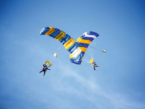 Skydive Great Ocean Road - Travel Agents 2