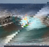 Snapper Rocks - Cruises Travel