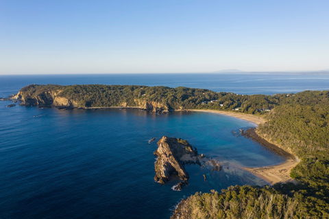 Snorkelling Guerilla Bay - Tourism Guide 0