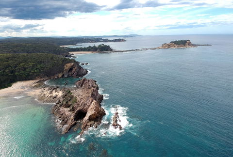 Snorkelling Guerilla Bay - Tourism Guide 1