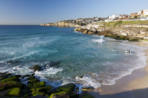 Tamarama Beach - Tourism Guide 1