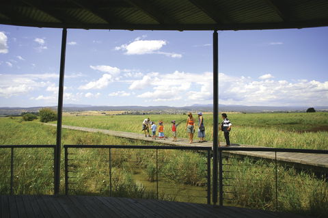 Tamar Island Wetlands Centre And Reserve - Tourism Guide 0