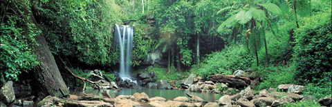 Tamborine National Park - Tourism Guide 0