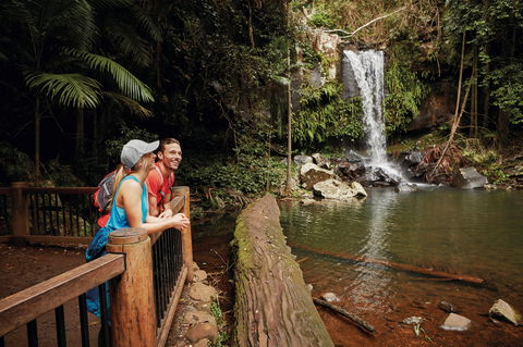 Tamborine National Park - Tourism Guide 1