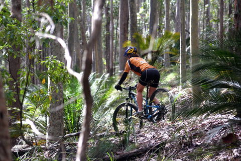 Tathra Beach - Tourism Guide 1
