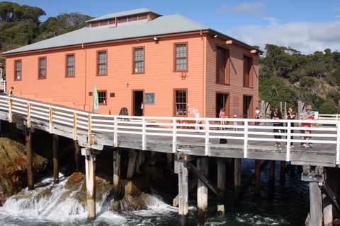 Tathra Beach - Tourism Guide 2