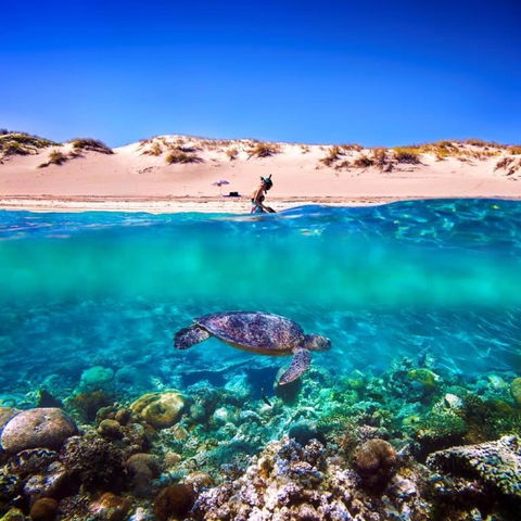 The Warlu Way - Tourism Guide 0